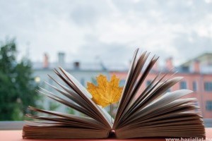 Két kihagyhatatlan történet a romantikus regények világából (x)