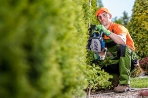 Makita akkus sövényvágó profiknak és hobbifelhasználóknak egyaránt (x)