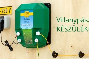 Villanypásztor kutyáknak: a biztonságos megoldás házi kedvenceid őrzésére (x)