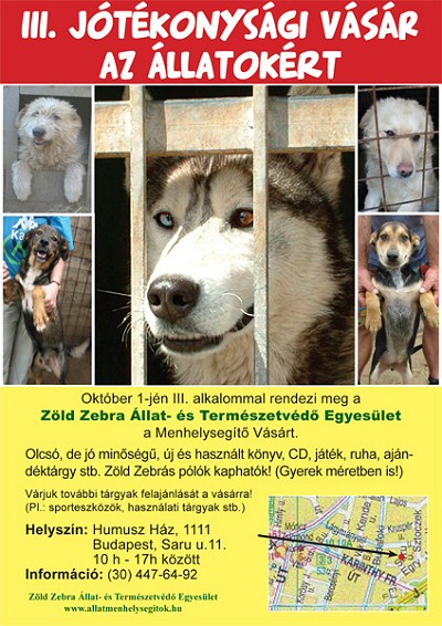 ZÖLD ZEBRA: ÚJBÓL JÓTÉKONYSÁGI VÁSÁR