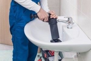 A háziállatok és a dugulások kapcsolata (x)
