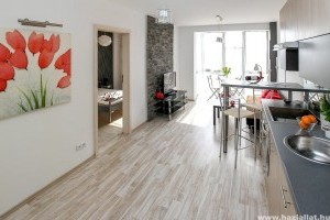 Ragyogóan tiszta levegő az otthonunkban, akár távolról szabályozva?