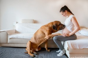 8 dolog terhesség alatt, amire érdemes figyelni, ha háziállattal élünk