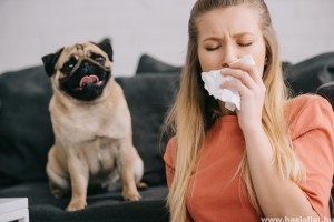 8 természetes módszer, ami segít a kisállat-allergia kezelésében