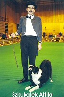 Mi az a dog dancing?