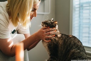 Állatorvos, kutyakiképző vagy állatpszichológus? Útmutató az állatokkal kapcsolatos karrier lehetőségekhez