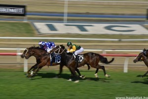 How Racing Has Affected the Care of Horses