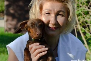 Tacskós cuccok tacskóimádóknak