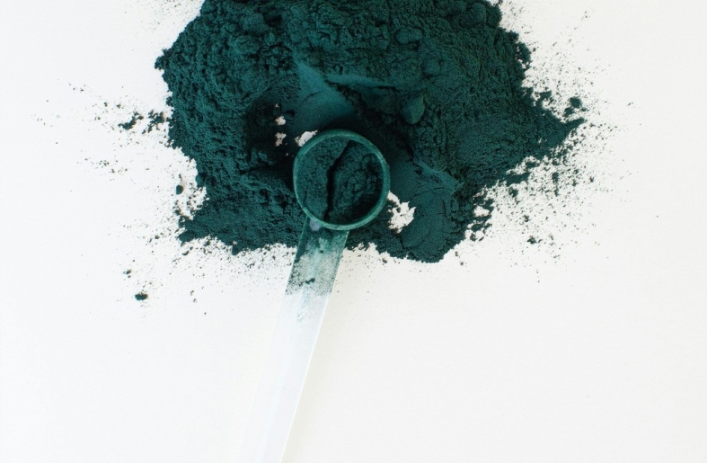 Spirulina kutyáknak: mire jó, hogyan adagoljuk?