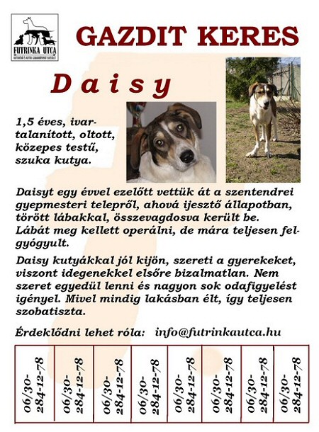 ÖT HELY, ÖTSZÖR TÖBB ESÉLY