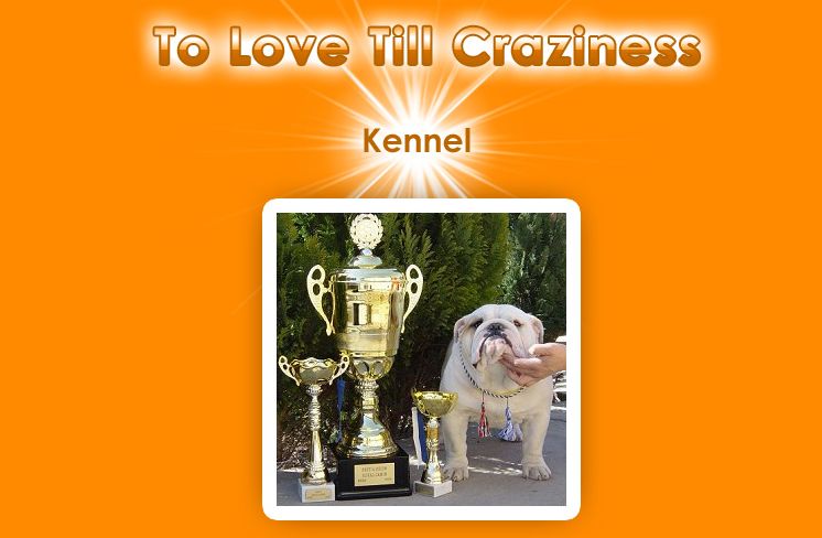 To Love Till Craziness Angol Bulldog Kennel
