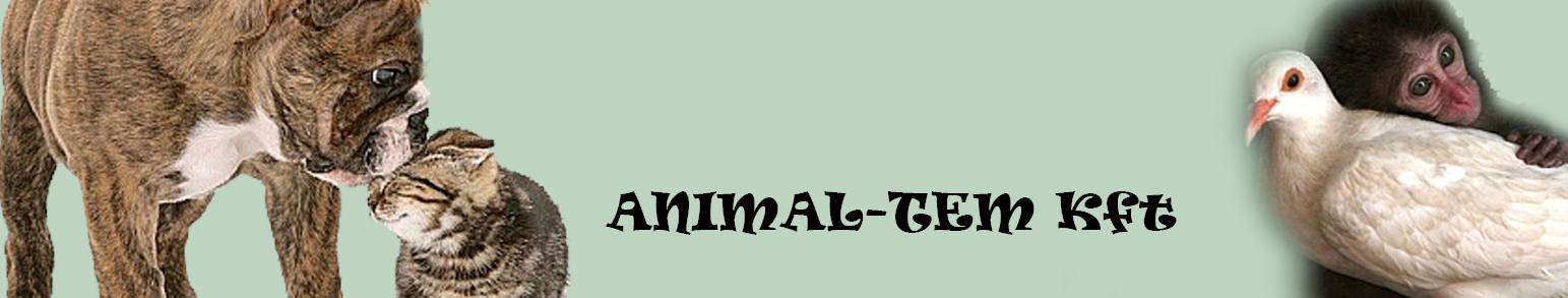 Animal-Tem Kft. - Kisállat hamvasztás