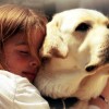 A kutyatámadások ellen - A gyermekek védelmében
