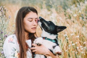 Kutyapuszi: miért nyalogatnak a kutyák?